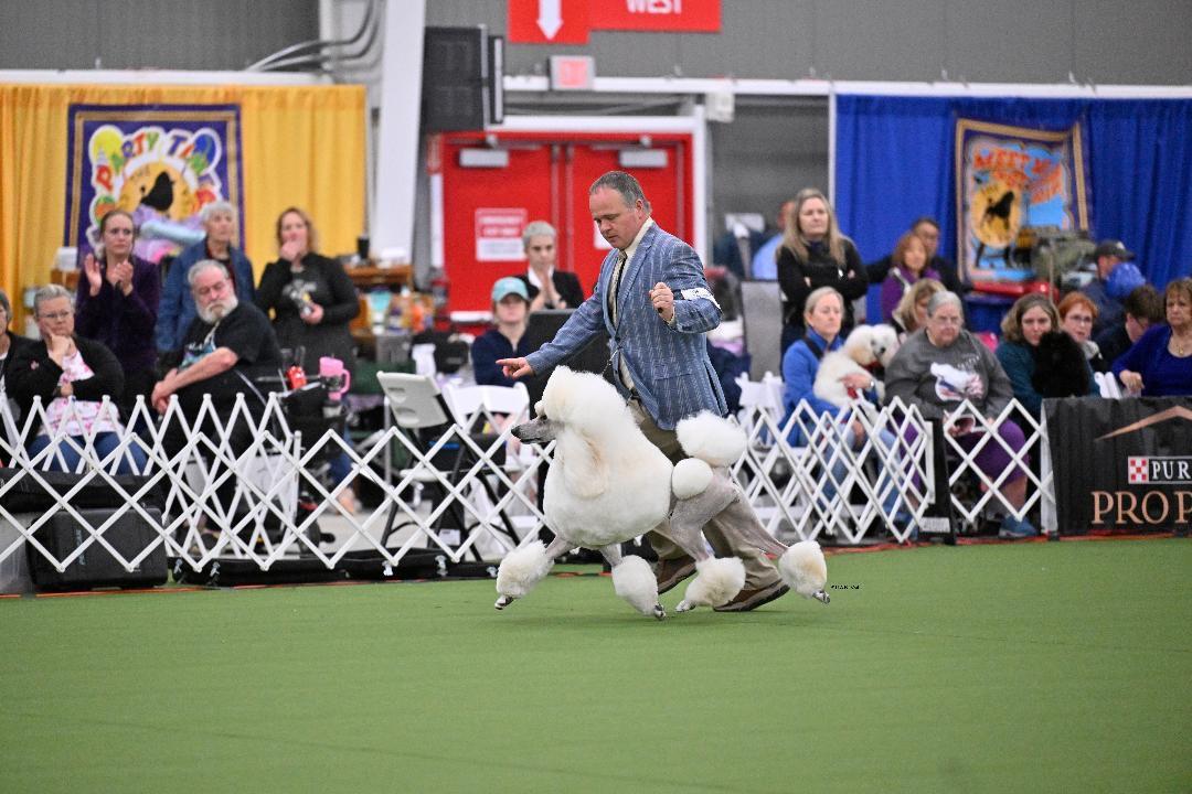 CH Stone Run Honey In My Tea Image