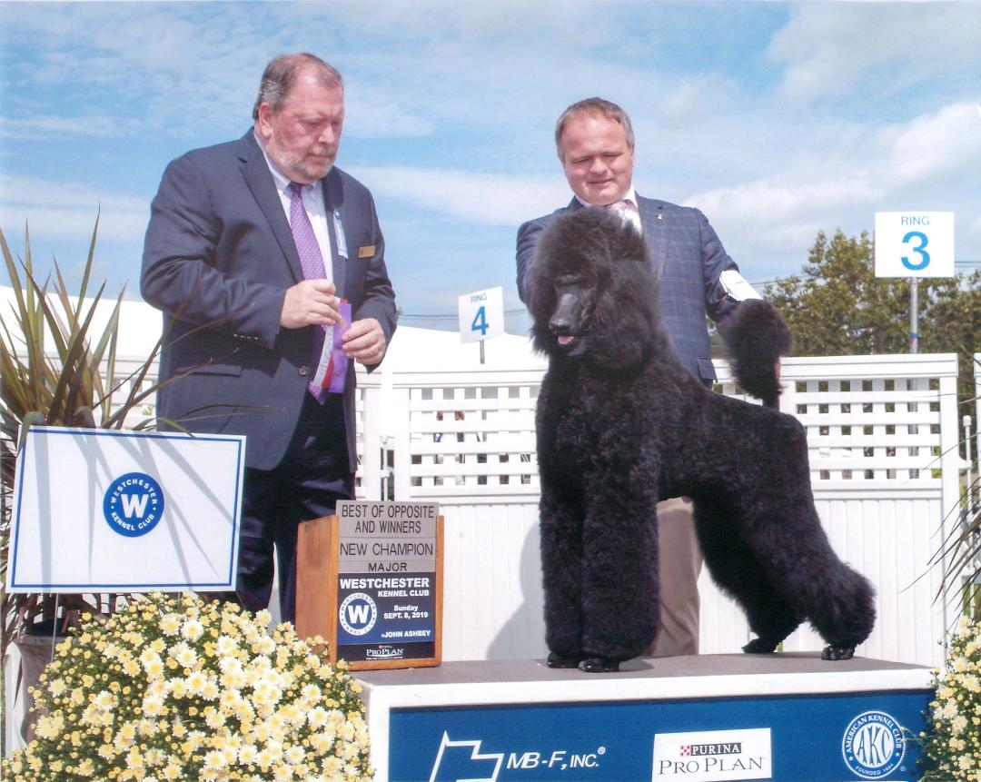 GCH Stone Run The Best Is Yet To Come Image