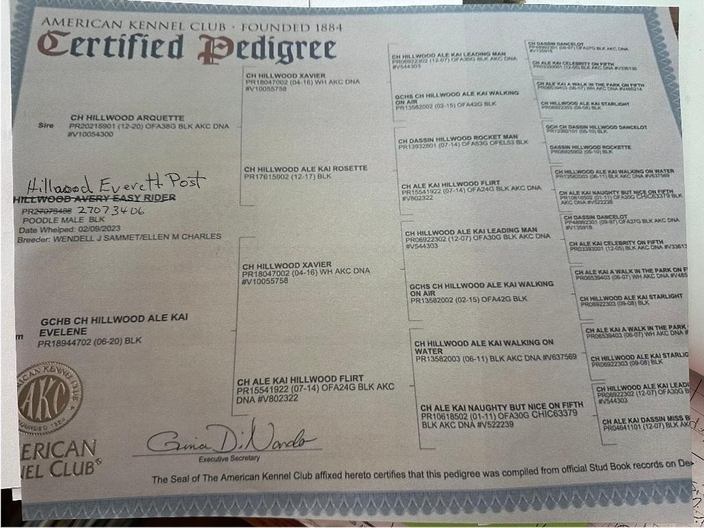Everett's Pedigree(click to enlarge) Image